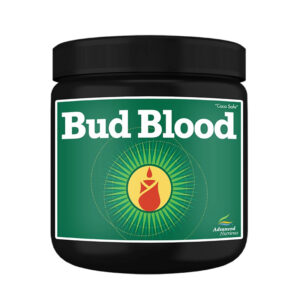 Advanced Bud Blood Powder