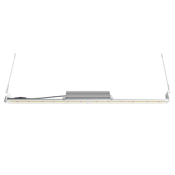 Mammoth Lighting Multi-Use 100 Watt LED Grow Light Bar with 120 & 240 Volt Cords