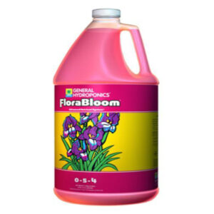 GH Flora Bloom